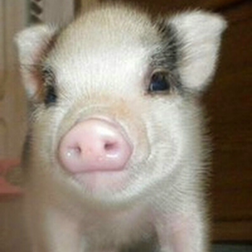 Meet your Posher, Marilu